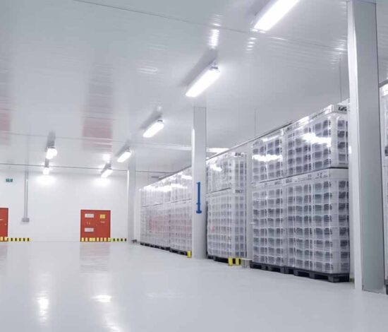 Warehousing & Cold Storage Facilities